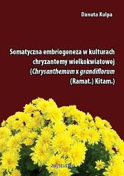 Somatyczna embriogeneza w kulturach chryzantemy wielokwiatowej (Chrysanthemum x grandiflorum) (Ramat.) Kitam.)