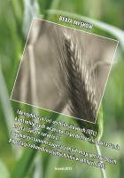 Identyfikacja loci cech ilościowych (QTL) kontrolujących wczesność i podatność na porastanie u żyta (Secale cereale L.) z wykorzystaniem zagęszczonych map genetycznych populacji rekombinacyjnych linii wsobnych (RIL)